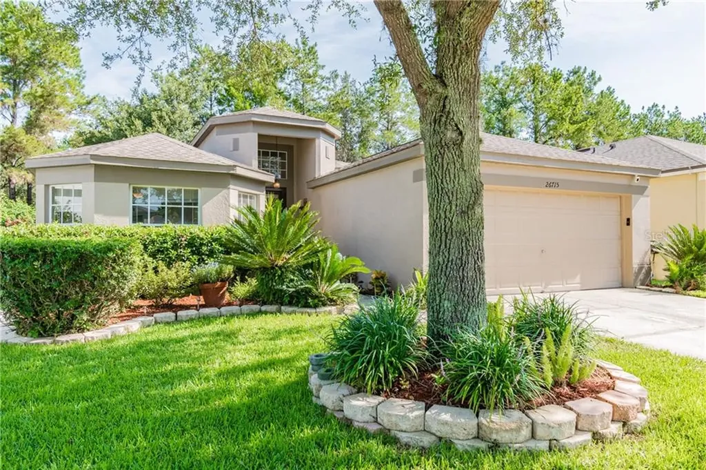 26715 Middleground Loop Wesley Chapel FL 33544