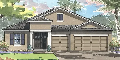 21877 Emory Oak Place Land O Lakes FL 34637