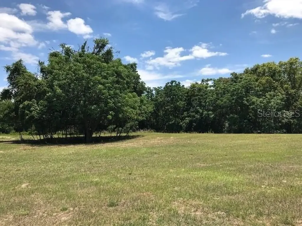 6201 Virginia Anne Lane Mount Dora FL 32757