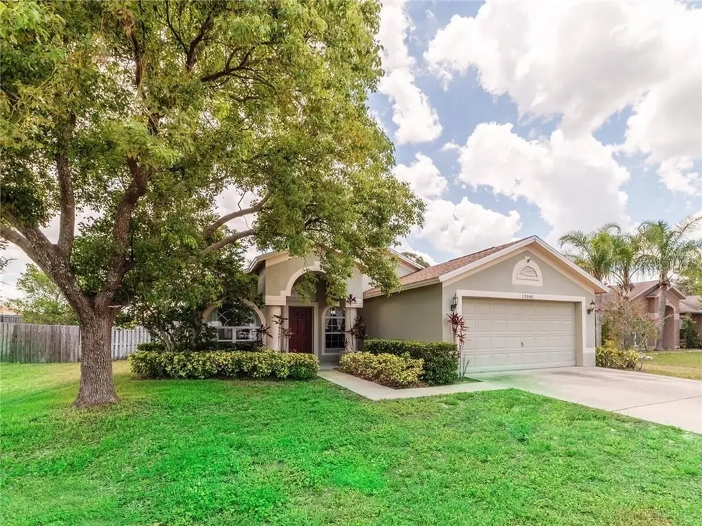 10540 Juliano Drive Riverview FL 33569