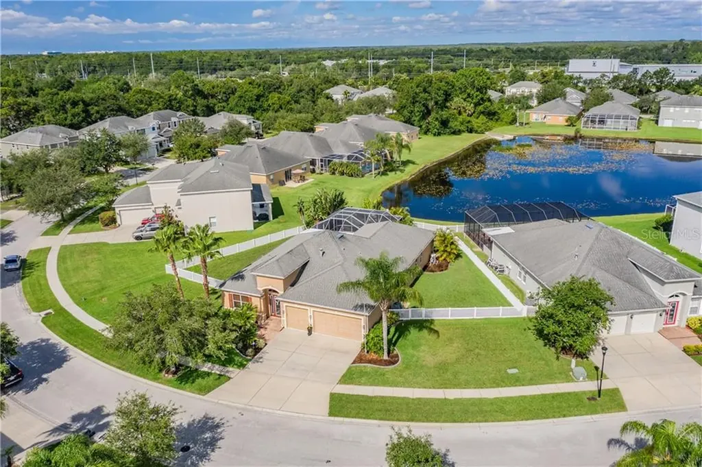 19915 Bluff Oak Boulevard Tampa FL 33647