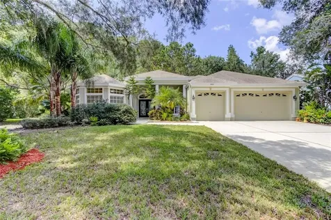 4828 Kylemore Court Palm Harbor FL 34685