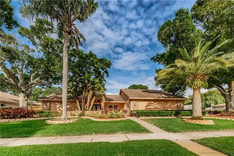 3411 Beech Trail Clearwater FL 33761