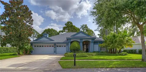 10515 Greensprings Drive Tampa FL 33626