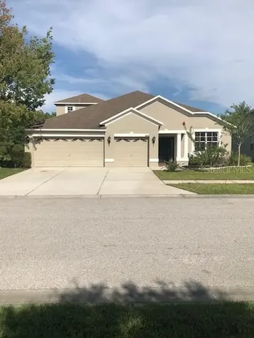 9820 Asbel Estates Street Land O Lakes FL 34638