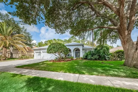 3748 Pendlebury Drive Palm Harbor FL 34685