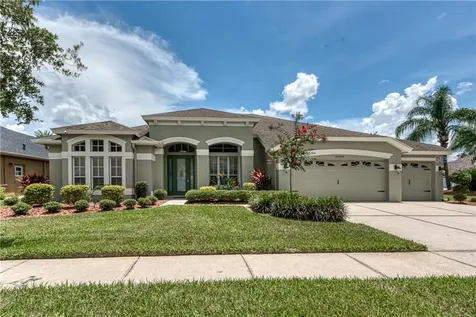 30350 Colehaven Court Wesley Chapel FL 33543