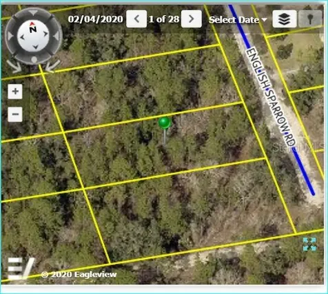 English Sparrow Road Weeki Wachee FL 34614