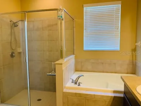 3206 Blazing Star Lane Harmony FL 34773