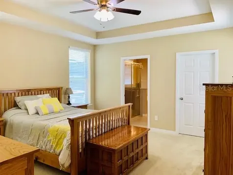 3206 Blazing Star Lane Harmony FL 34773