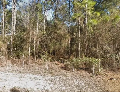 6260 Drew Street Brooksville FL 34604