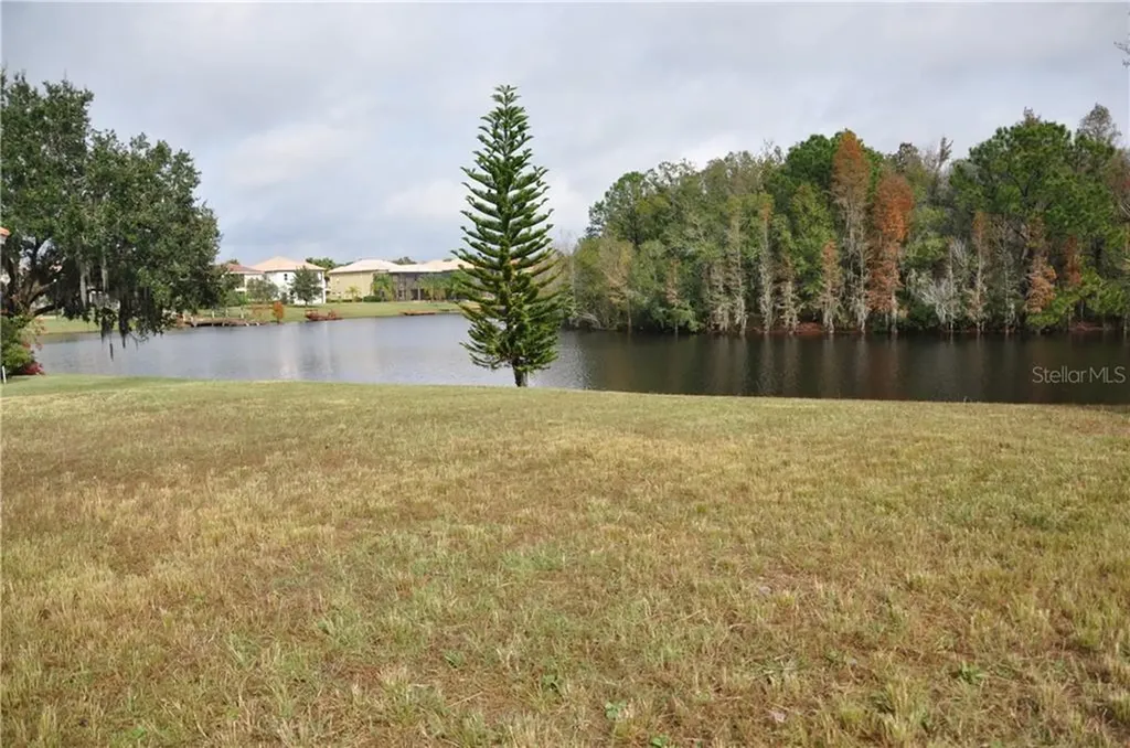 10535 Bermuda Isle Drive Tampa FL 33647