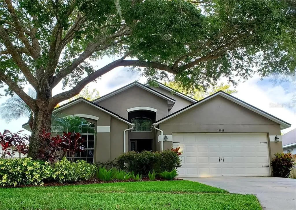 18963 Wood Sage Drive Tampa FL 33647