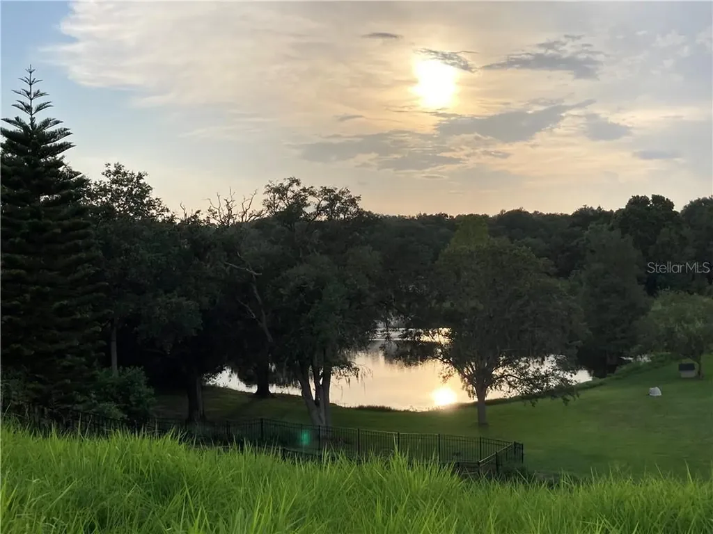 16843 Florence View Drive Montverde FL 34756