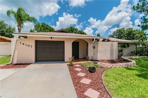 14107 Lonewood Place Tampa FL 33625