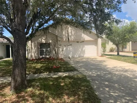6209 Cannoli Place Riverview FL 33578