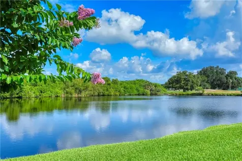 7454 Roebelenii Court Sarasota FL 34241