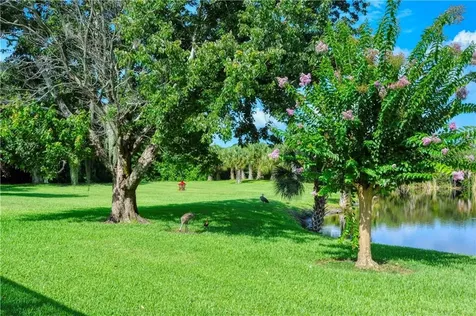 7454 Roebelenii Court Sarasota FL 34241