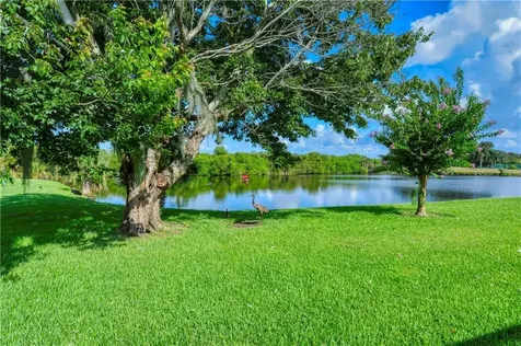 7454 Roebelenii Court Sarasota FL 34241