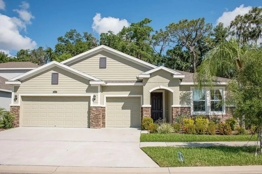 10311 Riverdale Rise Drive Riverview FL 33578