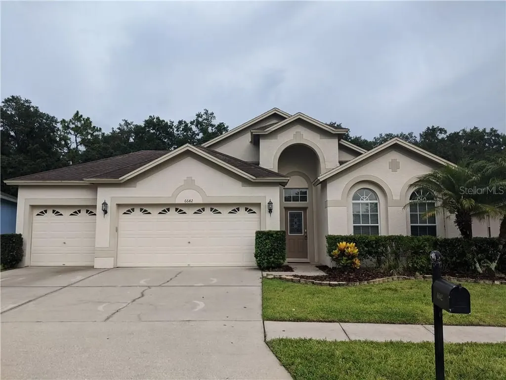 6642 Pine Springs Drive Wesley Chapel FL 33545