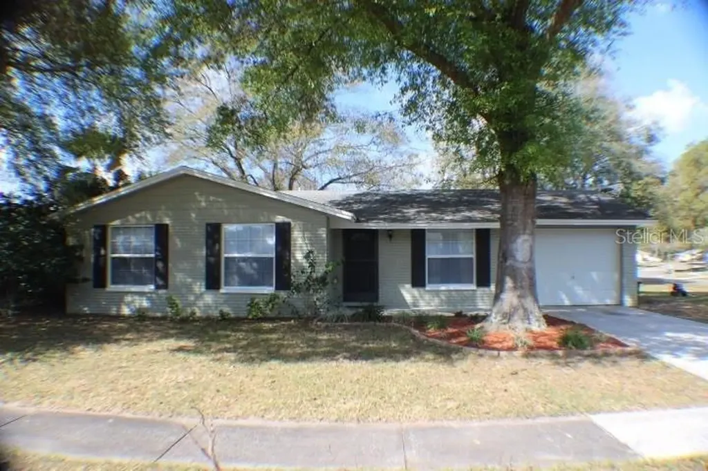 2301 Selkirk Street Valrico FL 33594