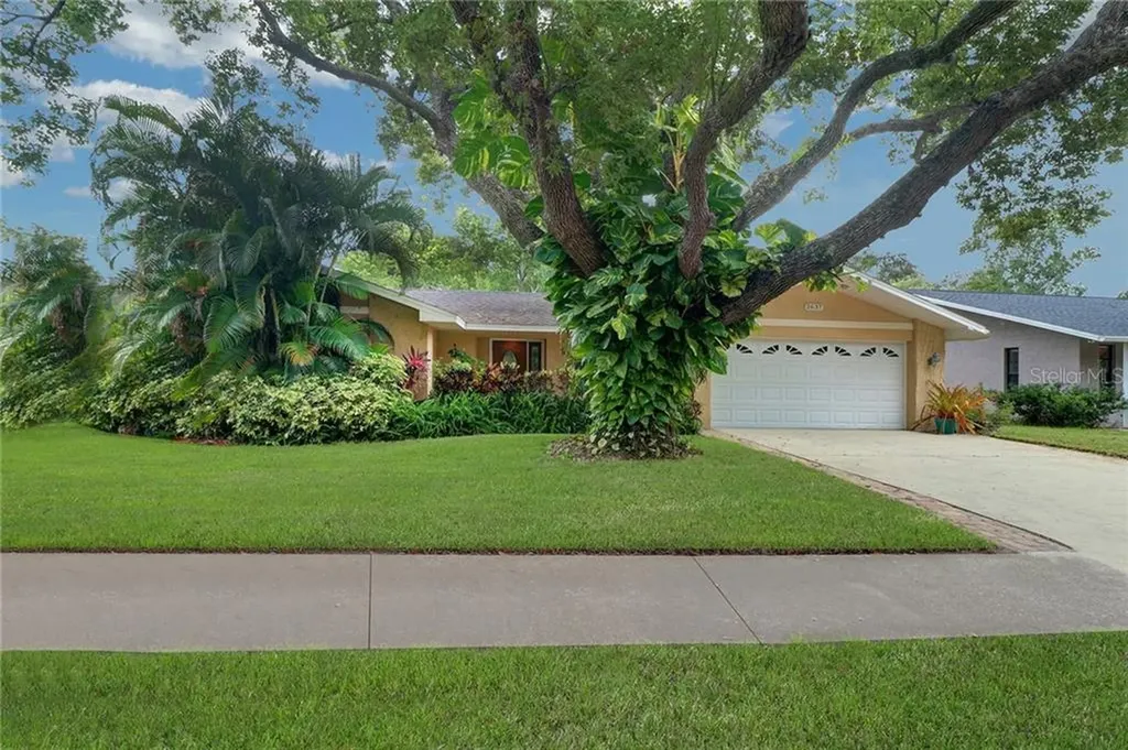 2637 Burntfork Drive Clearwater FL 33761