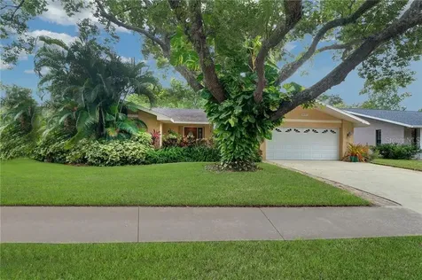 2637 Burntfork Drive Clearwater FL 33761