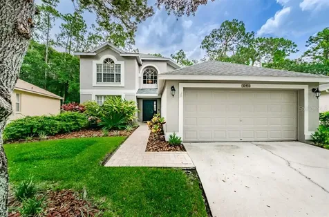 10436 Springrose Drive Tampa FL 33626