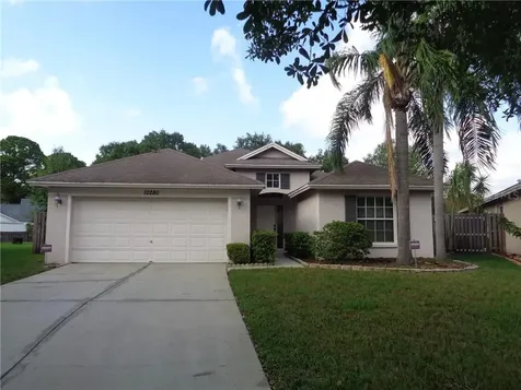 10280 Oasis Palm Drive Tampa FL 33615