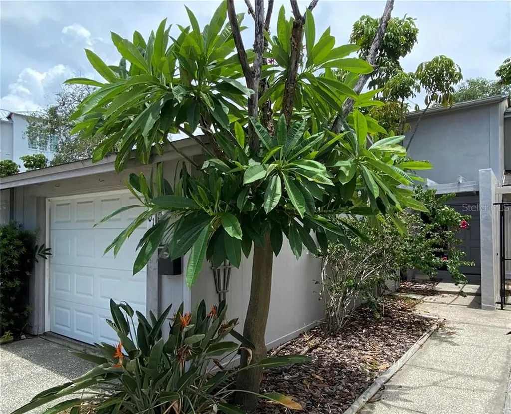 101 E Davis Boulevard Tampa FL 33606
