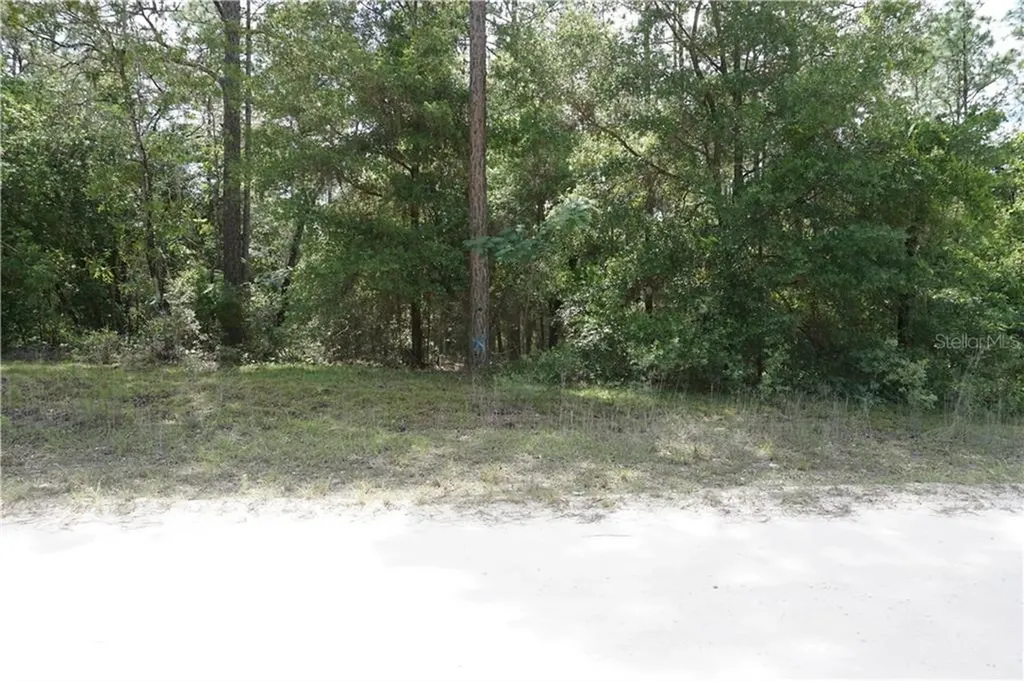 3708 SW 160th Avenue Ocala FL 34481