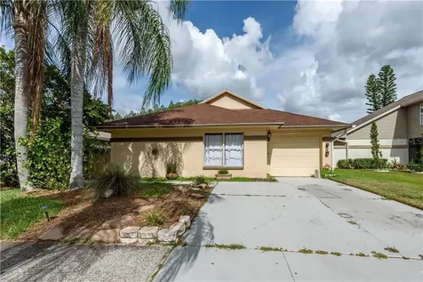 11917 Hickorynut Drive Tampa FL 33625