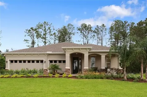 29381 Sedgeway Boulevard Wesley Chapel FL 33544