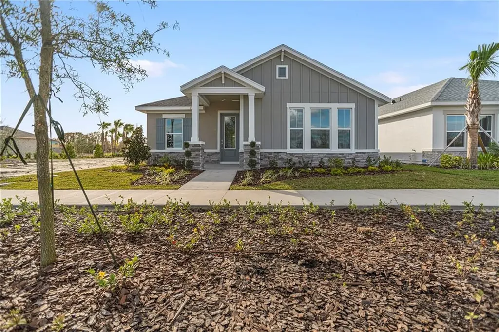 3707 Persimmon Park Drive Wesley Chapel FL 33543