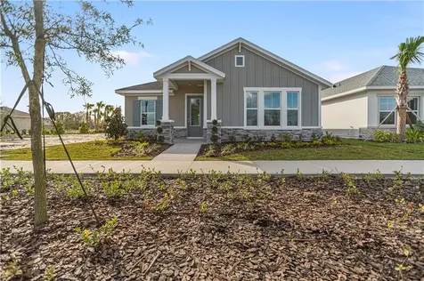 3707 Persimmon Park Drive Wesley Chapel FL 33543