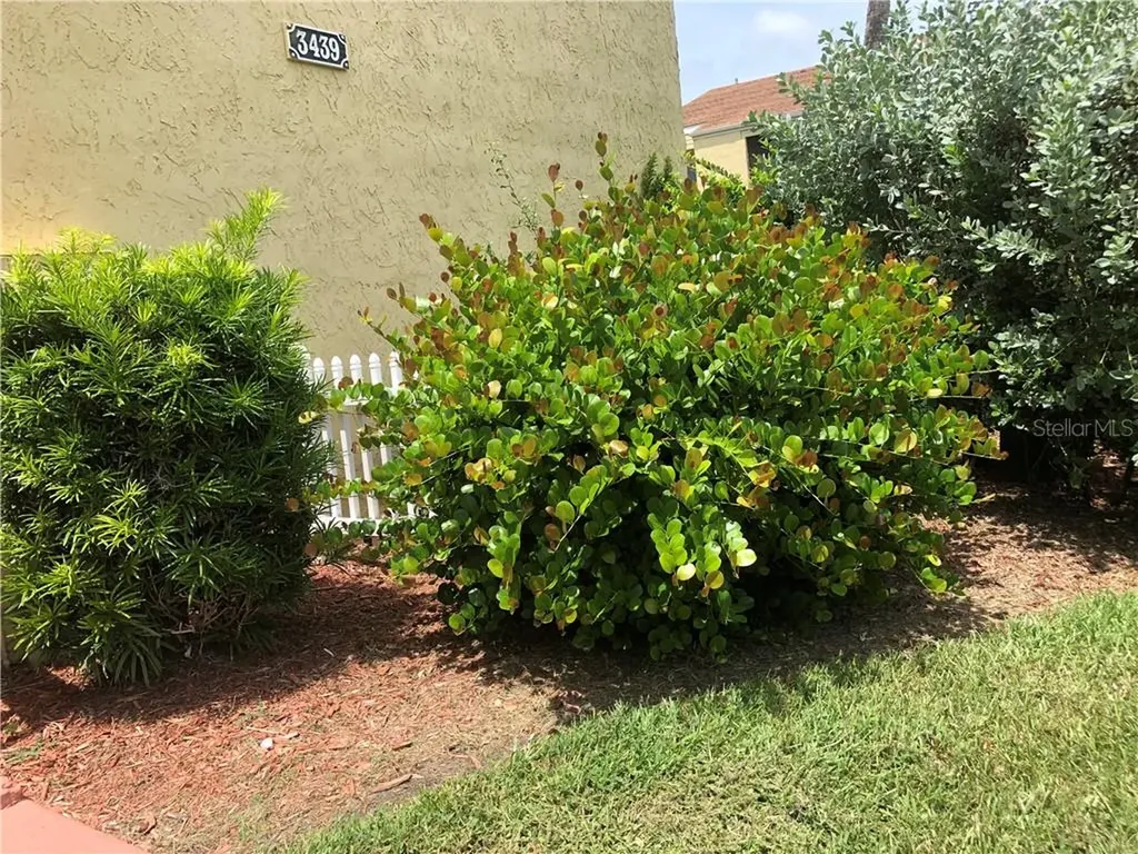 3439 Clark Road Sarasota FL 34231