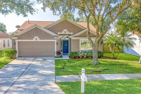 29752 Morningmist Drive Wesley Chapel FL 33543
