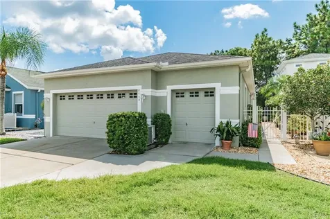 8112 Sanguinelli Road Land O Lakes FL 34637