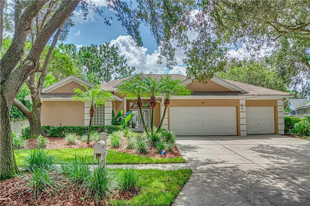 17313 Lockwood Ridge Drive Tampa FL 33647