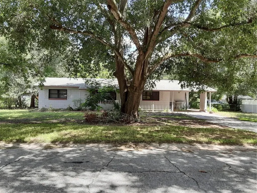 113 Alexandria Avenue Minneola FL 34715