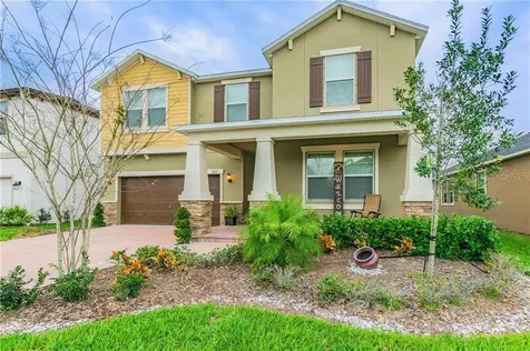 4135 Welling Terrace Land O Lakes FL 34638