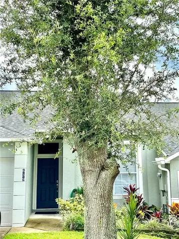639 Harbor Villa Court Clermont FL 34711