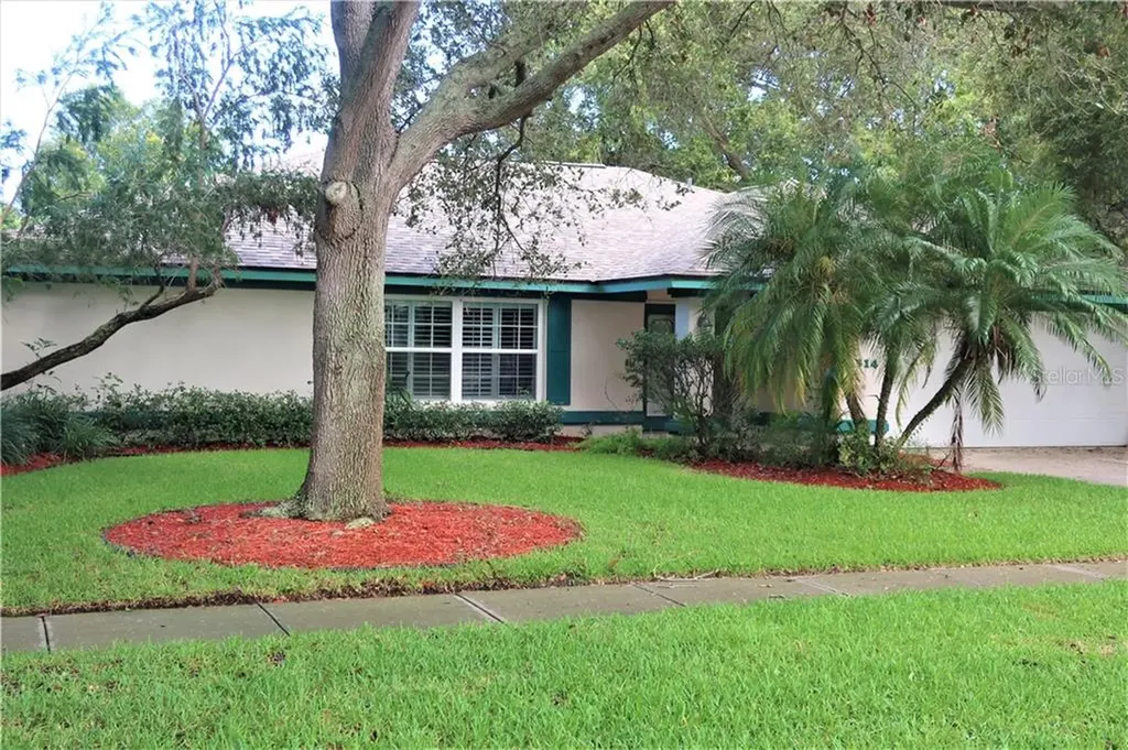 1314 Dinnerbell Lane E Dunedin FL 34698