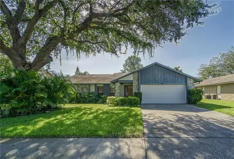 6805 Grand Bahama Drive Tampa FL 33615