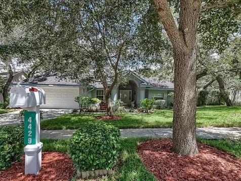 4429 Glenbrook Drive Palm Harbor FL 34683