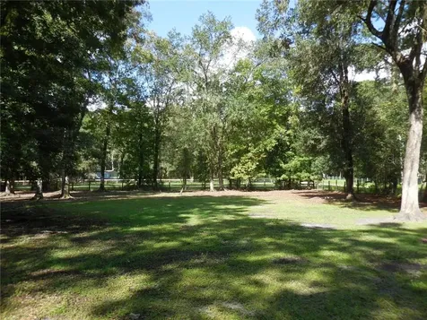 18681 NW 142nd Court Road Williston FL 32696