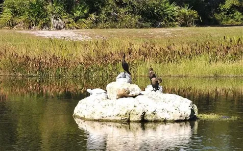 5071 Hanging Moss Lane Sarasota FL 34238
