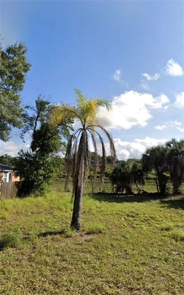 8413 N Seminole Avenue Tampa FL 33604