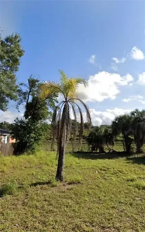 8413 N Seminole Avenue Tampa FL 33604